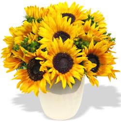 FOF Sunflower Vase
