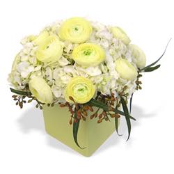 FOF Winter White Bouquet