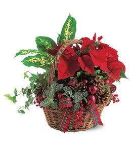 Holiday Planter Basket