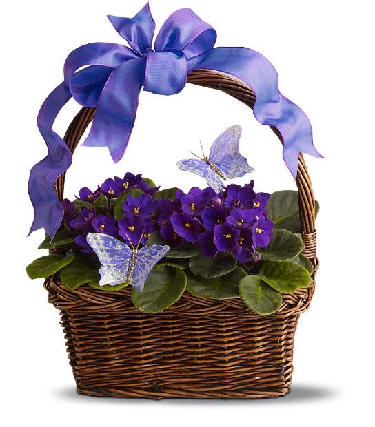 Violets Basket